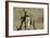 War-Banksy-Framed Premium Giclee Print