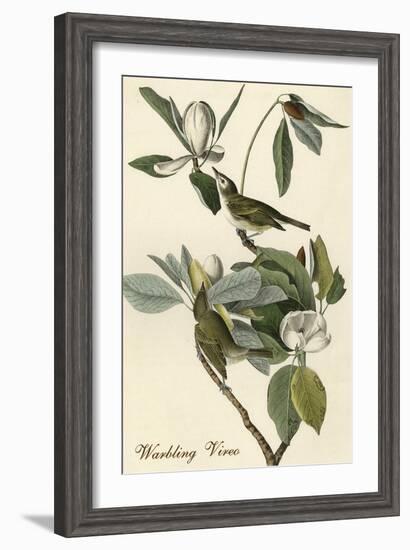 Warbling Vireo-John James Audubon-Framed Art Print