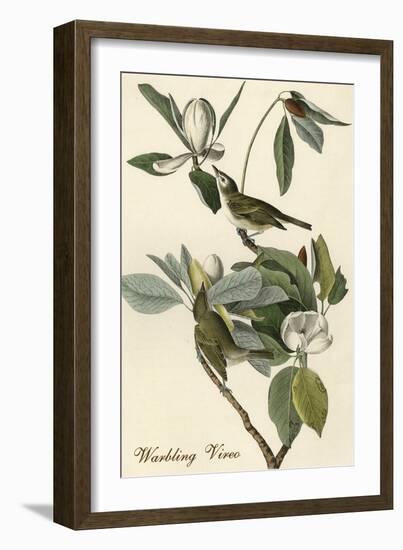 Warbling Vireo-John James Audubon-Framed Art Print