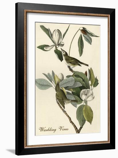 Warbling Vireo-John James Audubon-Framed Art Print