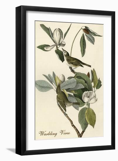 Warbling Vireo-John James Audubon-Framed Art Print