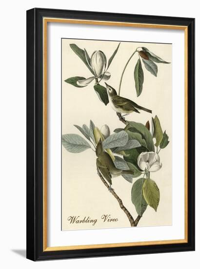 Warbling Vireo-John James Audubon-Framed Art Print