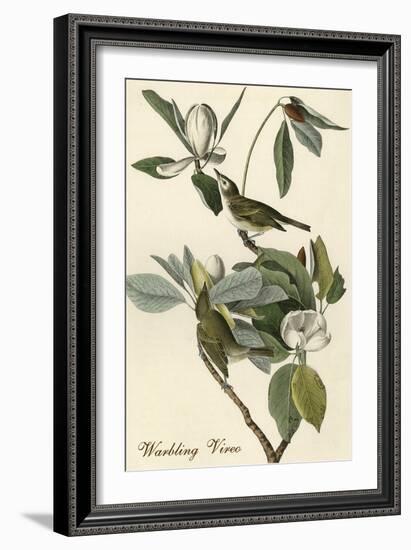 Warbling Vireo-John James Audubon-Framed Premium Giclee Print