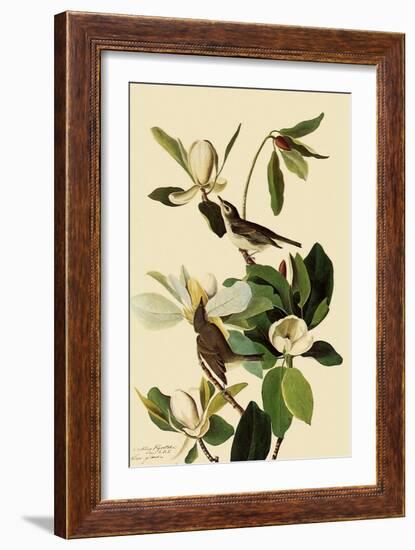 Warbling Vireos-John James Audubon-Framed Premium Giclee Print