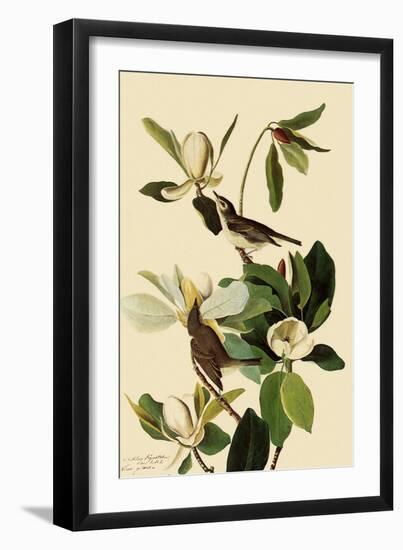 Warbling Vireos-John James Audubon-Framed Premium Giclee Print