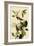 Warbling Vireos-John James Audubon-Framed Giclee Print