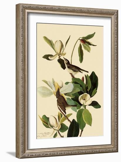 Warbling Vireos-John James Audubon-Framed Giclee Print