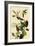 Warbling Vireos-John James Audubon-Framed Giclee Print