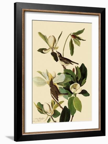 Warbling Vireos-John James Audubon-Framed Giclee Print