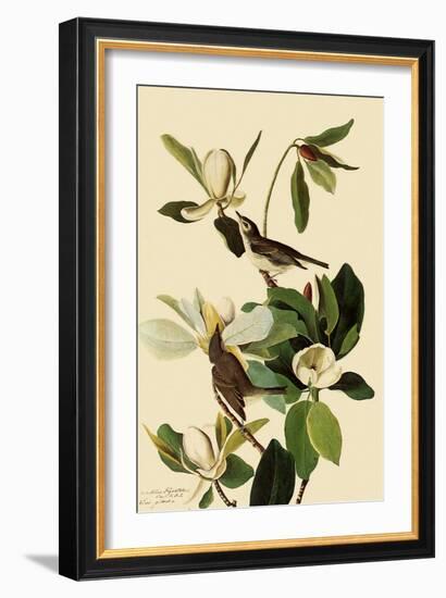 Warbling Vireos-John James Audubon-Framed Giclee Print