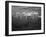 Warehouse Full of Crates of Bottles, Ward and Sons, Swinton, South Yorkshire, 1960-Michael Walters-Framed Photographic Print