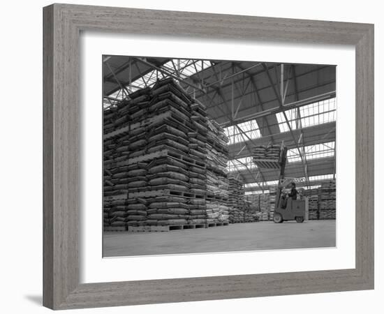 Warehouse Scene with Forklift Truck, Spillers Foods, Gainsborough, Lincolnshire, 1961-Michael Walters-Framed Photographic Print