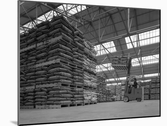 Warehouse Scene with Forklift Truck, Spillers Foods, Gainsborough, Lincolnshire, 1961-Michael Walters-Mounted Photographic Print