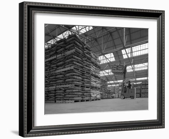 Warehouse Scene with Forklift Truck, Spillers Foods, Gainsborough, Lincolnshire, 1961-Michael Walters-Framed Photographic Print