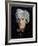 Warhol (1926-87)-Trevor Neal-Framed Giclee Print