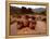 Wari Face Neck Jars and Painted Vessels, Cache, Empires of the Sun, Huari, Peru-Kenneth Garrett-Framed Premier Image Canvas