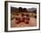 Wari Face Neck Jars and Painted Vessels, Cache, Empires of the Sun, Huari, Peru-Kenneth Garrett-Framed Photographic Print