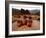 Wari Face Neck Jars and Painted Vessels, Cache, Empires of the Sun, Huari, Peru-Kenneth Garrett-Framed Photographic Print