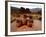 Wari Face Neck Jars and Painted Vessels, Cache, Empires of the Sun, Huari, Peru-Kenneth Garrett-Framed Photographic Print