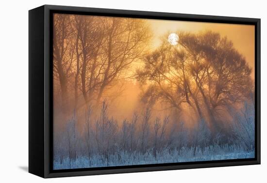 warm and cold-null-Framed Premier Image Canvas