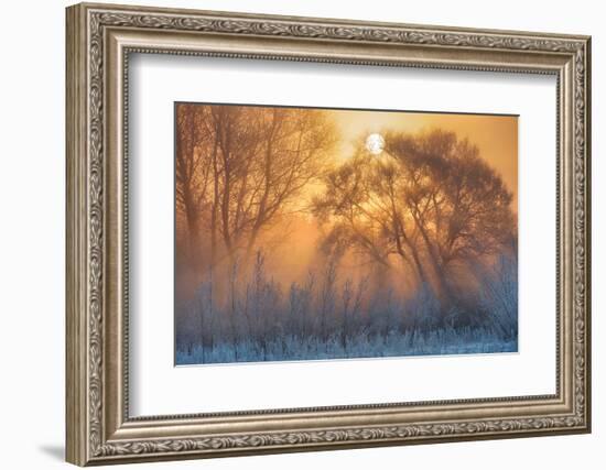 warm and cold-null-Framed Photographic Print