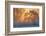 warm and cold-null-Framed Photographic Print