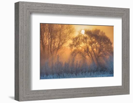 warm and cold-null-Framed Photographic Print