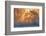 warm and cold-null-Framed Photographic Print