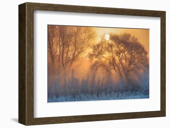 warm and cold-null-Framed Photographic Print