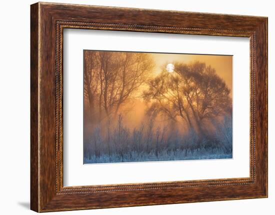 warm and cold-null-Framed Photographic Print