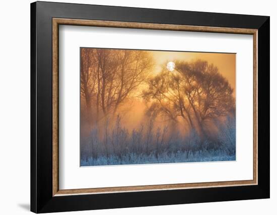 warm and cold-null-Framed Photographic Print