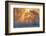 warm and cold-null-Framed Photographic Print