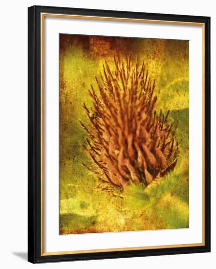 Warm Clover-Osaria Copperstone-Framed Giclee Print