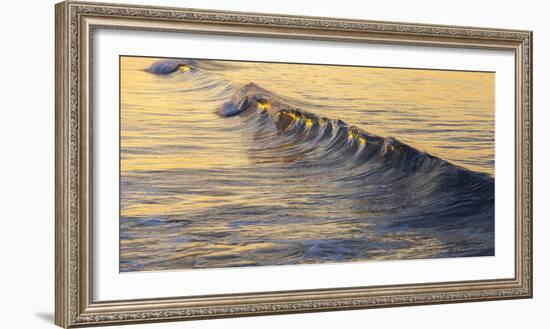 Warm Curl-Chris Moyer-Framed Photographic Print