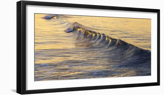 Warm Curl-Chris Moyer-Framed Photographic Print