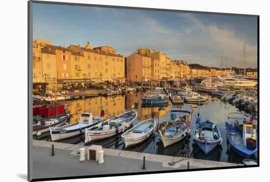 Warm Evening Sunlight Illuminating the Port of Saint Tropez, Var, Provence-Chris Hepburn-Mounted Photographic Print