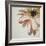 Warm Flower-Carolina Alotus-Framed Giclee Print