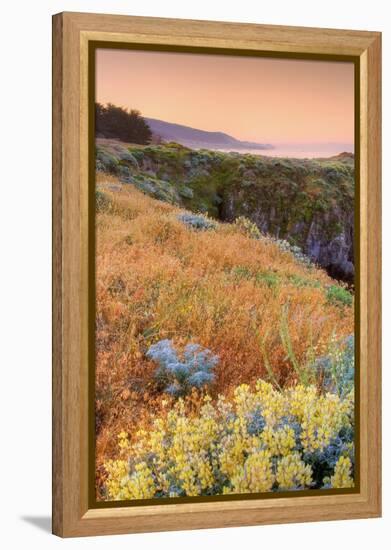 Warm Glow at Sea Ranch-Vincent James-Framed Premier Image Canvas