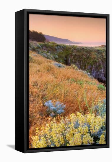 Warm Glow at Sea Ranch-Vincent James-Framed Premier Image Canvas