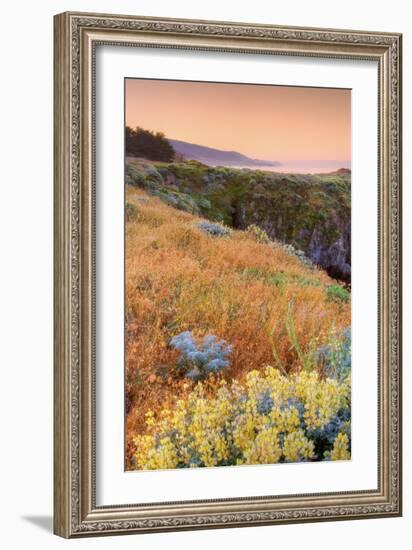 Warm Glow at Sea Ranch-Vincent James-Framed Photographic Print