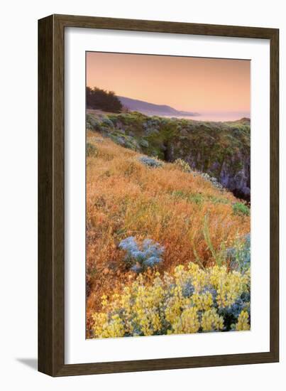 Warm Glow at Sea Ranch-Vincent James-Framed Photographic Print