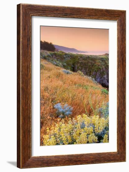 Warm Glow at Sea Ranch-Vincent James-Framed Photographic Print