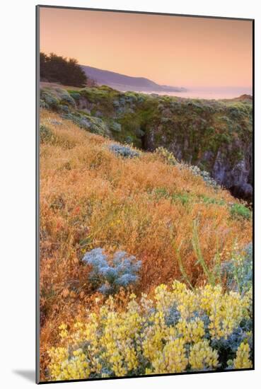 Warm Glow at Sea Ranch-Vincent James-Mounted Photographic Print