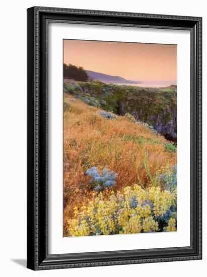 Warm Glow at Sea Ranch-Vincent James-Framed Photographic Print