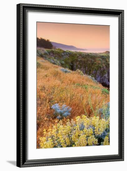 Warm Glow at Sea Ranch-Vincent James-Framed Photographic Print