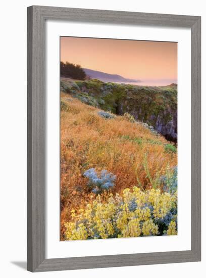 Warm Glow at Sea Ranch-Vincent James-Framed Photographic Print