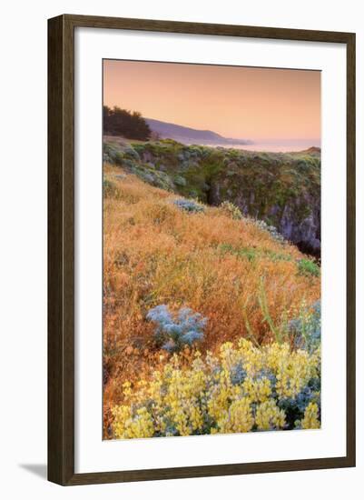 Warm Glow at Sea Ranch-Vincent James-Framed Photographic Print