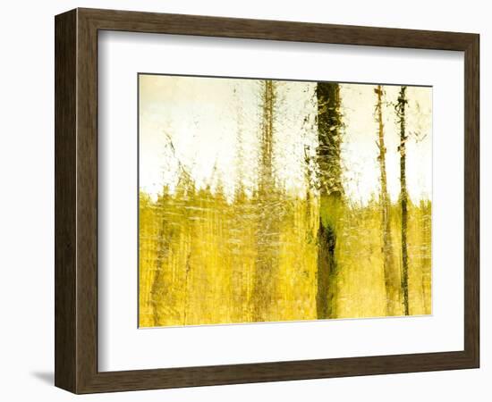 Warm Harvest Sundown-Janet Slater-Framed Photographic Print