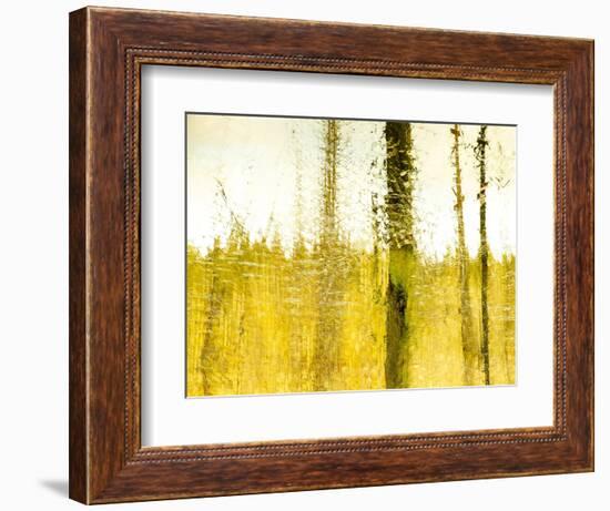 Warm Harvest Sundown-Janet Slater-Framed Photographic Print