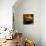 Warm Kitchen-Pam Ingalls-Giclee Print displayed on a wall